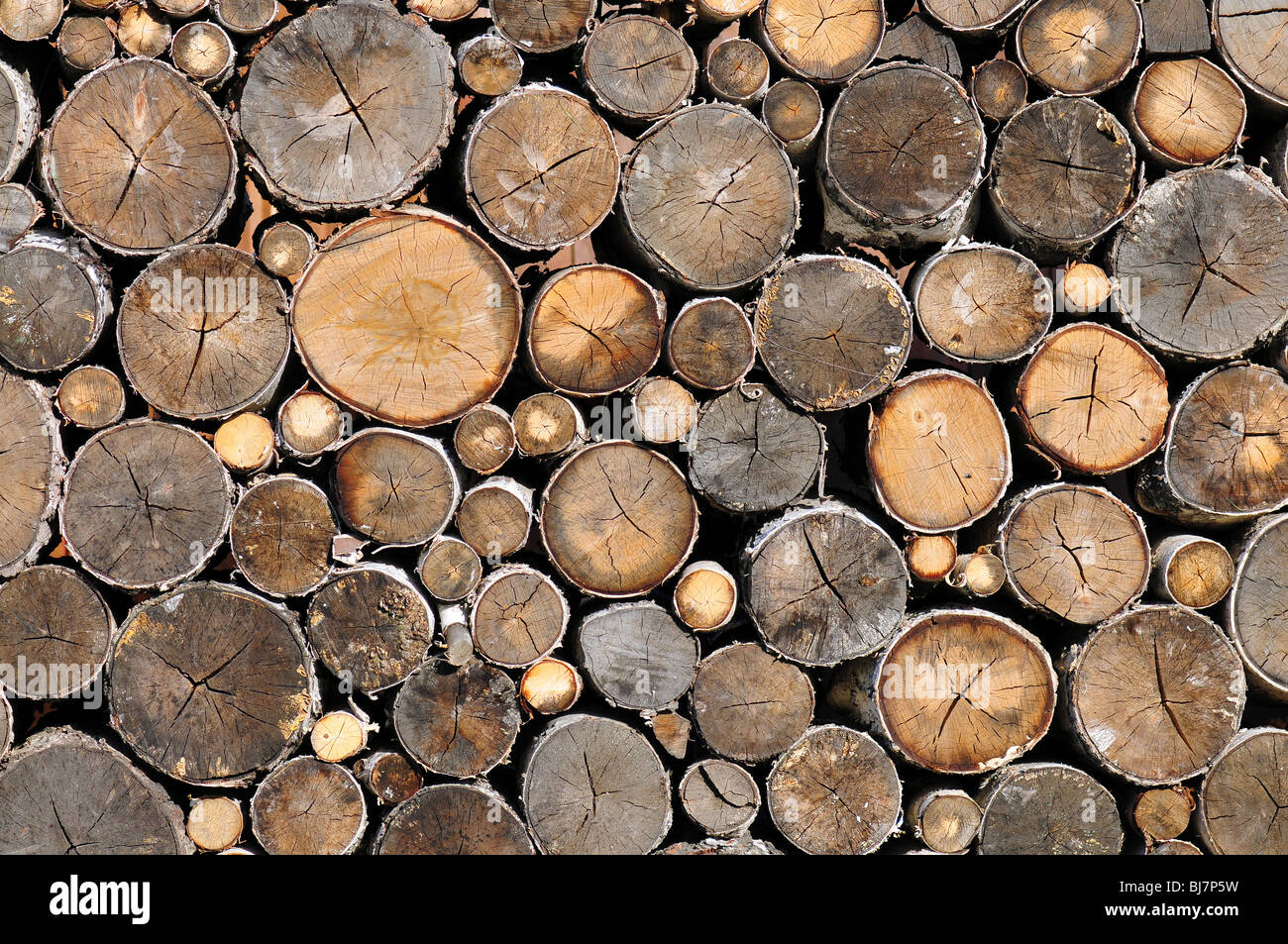 Firewoods stack of round logs for texture or background Stock Photo