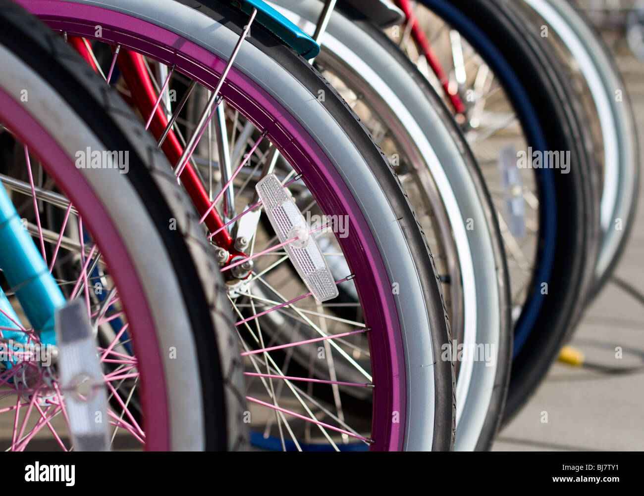 A row of bicycle wheels, lined up and ready to take for a ride. Stock Photo