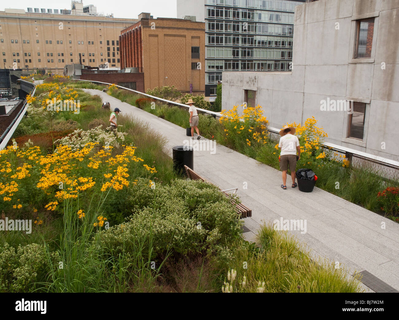 High Line Park gardeners Stock Photo Alamy