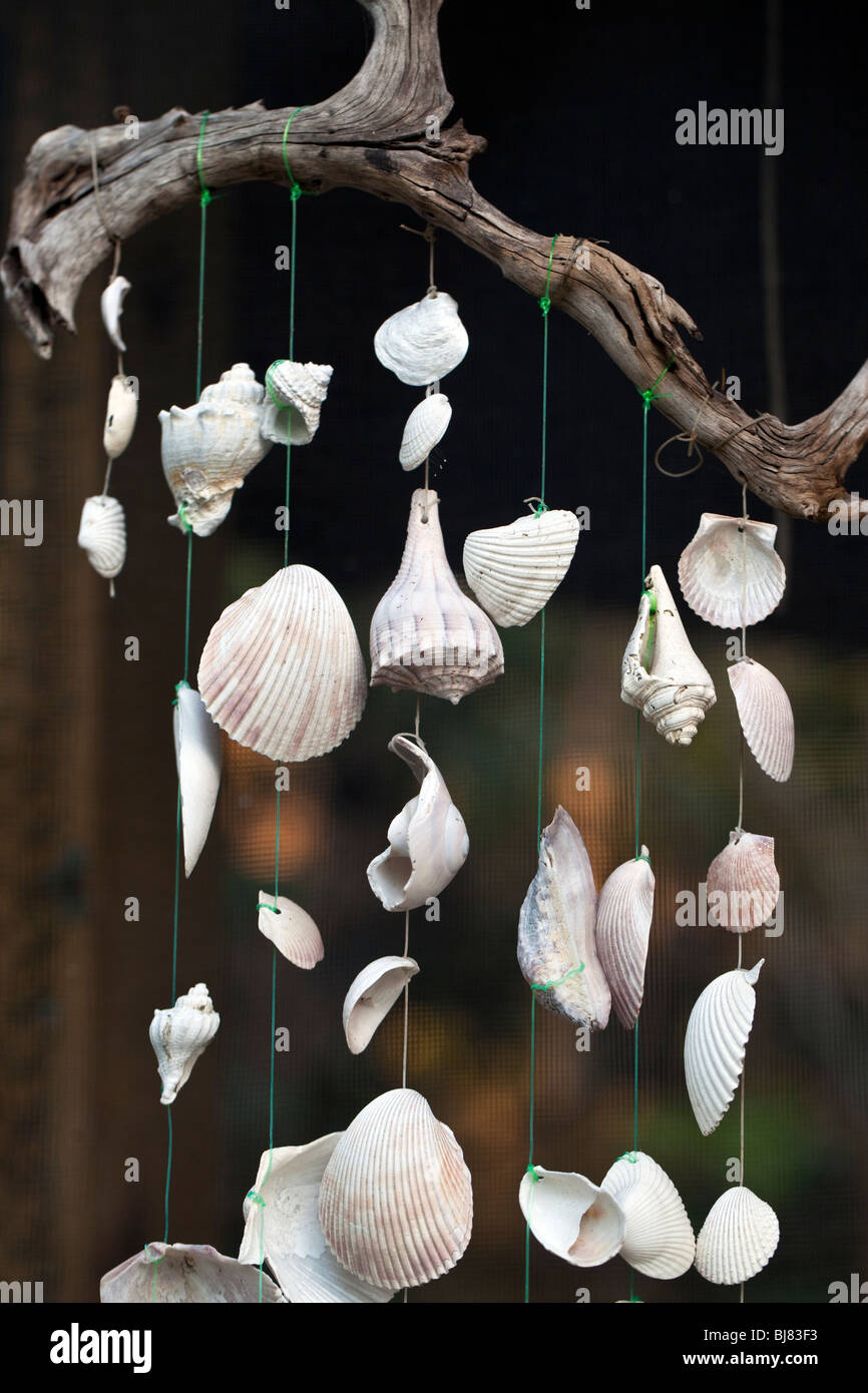 Hanging wind chime made from fishing line and shells Stock Photo