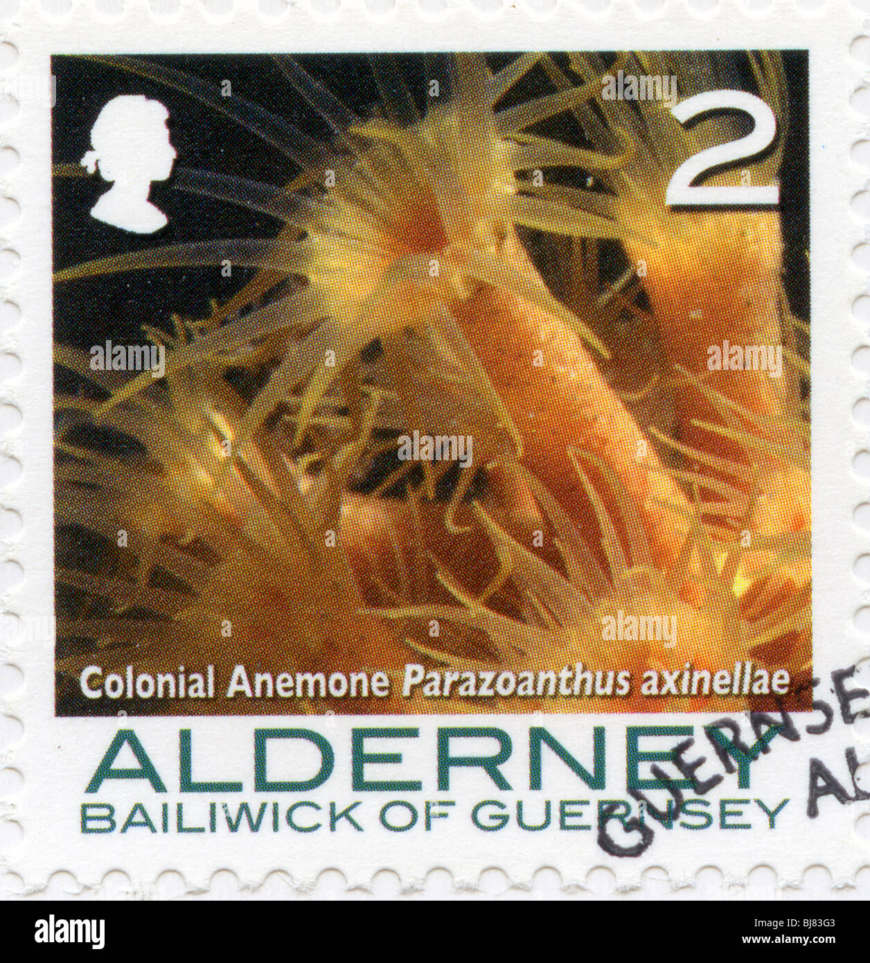 Guernsey Postage Stamp Stock Photos & Guernsey Postage Stamp Stock