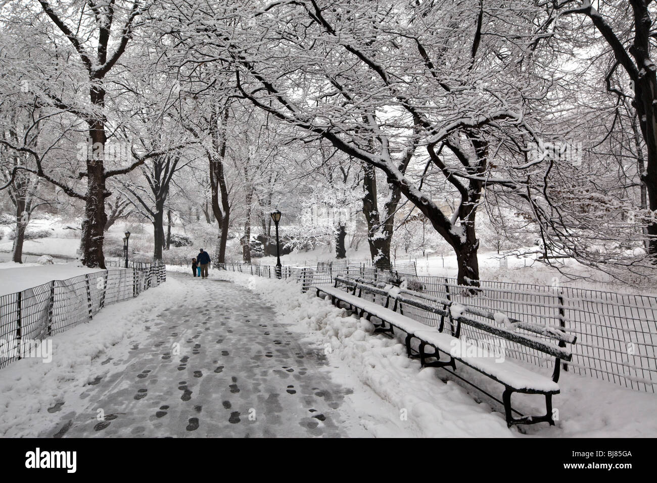 Central Park New York City snow storm with slush on sidewalks Stock