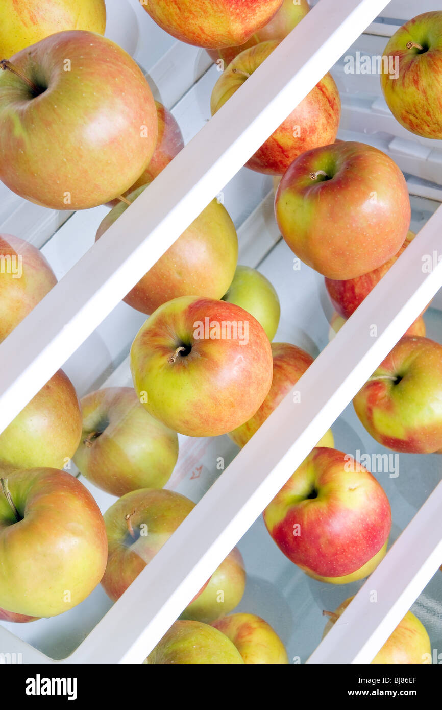 apples in the refrigerator Stock Photo Alamy