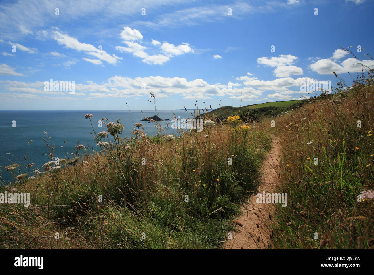 Coastal path near Coleton Fishacre, South Devon, England, UK Stock Photo
