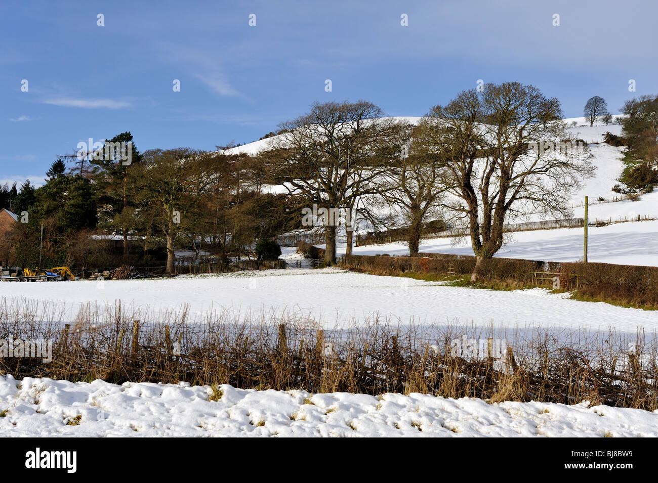 Snow covered hill at Loggerheads Mold Clwyd North Wales Stock Photo