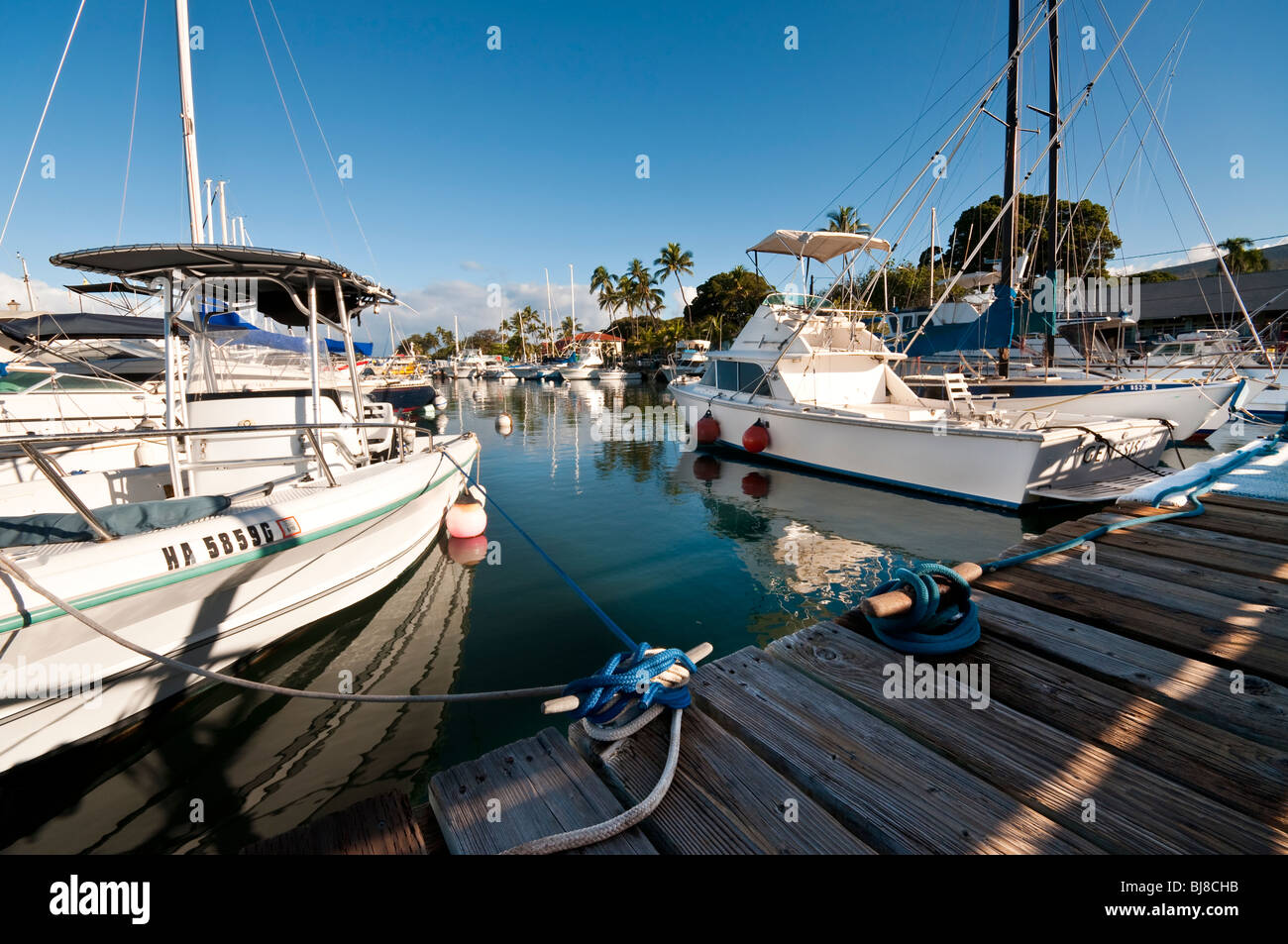 Lahaina Harbor, West Maui Hawaii showing big game fishing boats and