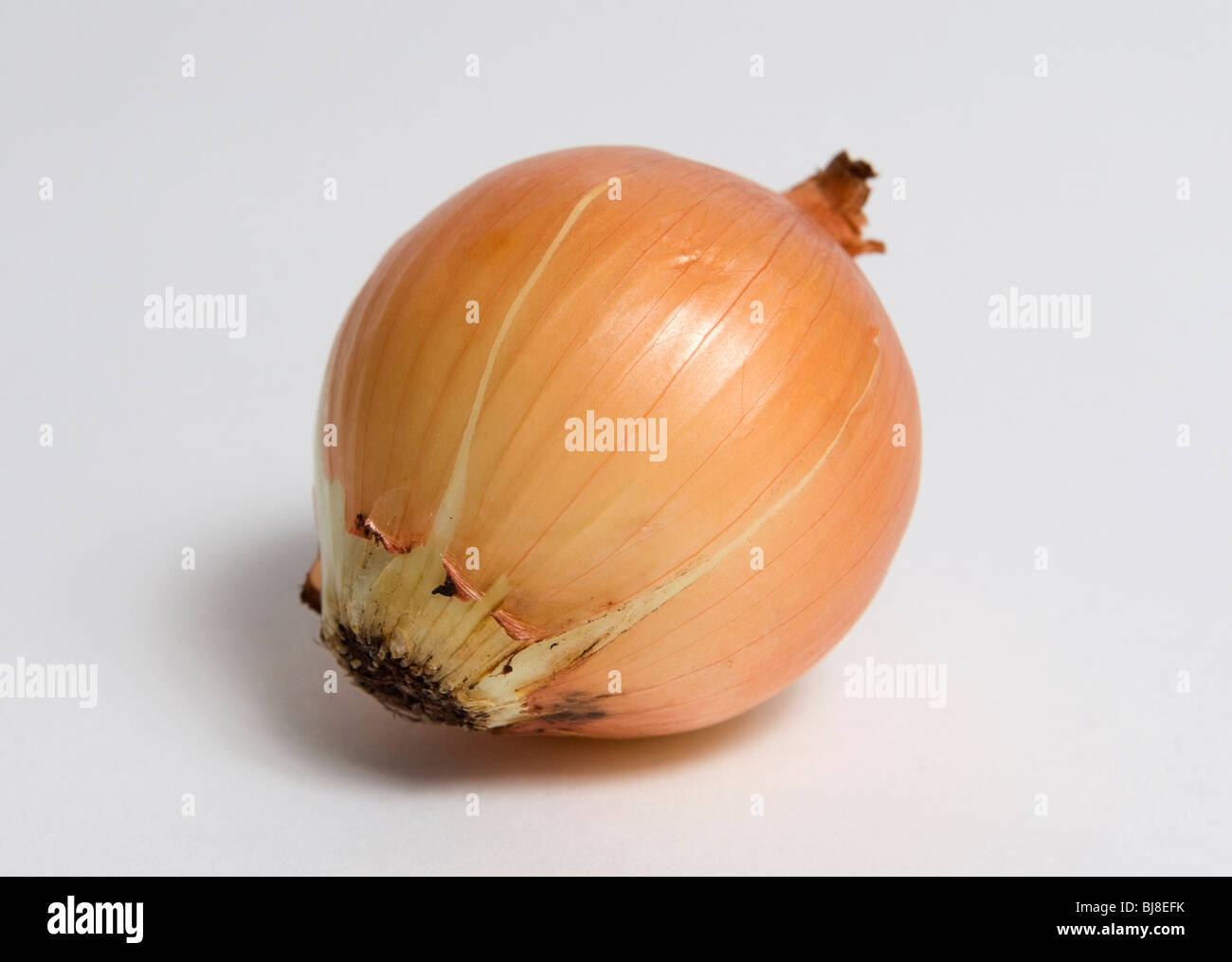 White backdrop cutout hi-res stock photography and images - Alamy