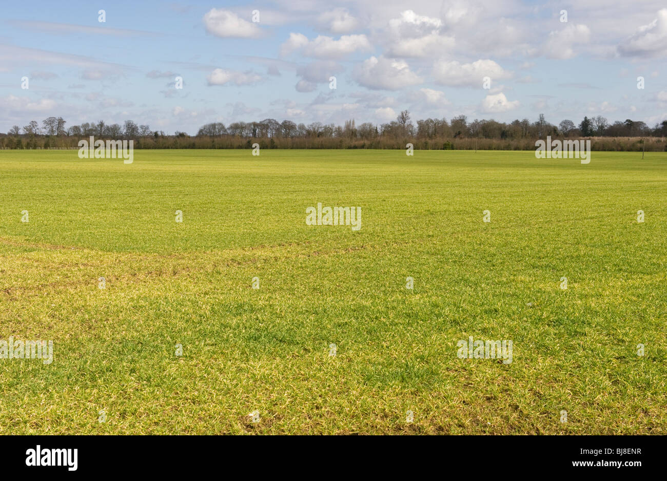 Open space, grassland and countryside landscape view near Littlewick Green near Maidenhead Berkshire UK. Stock Photo