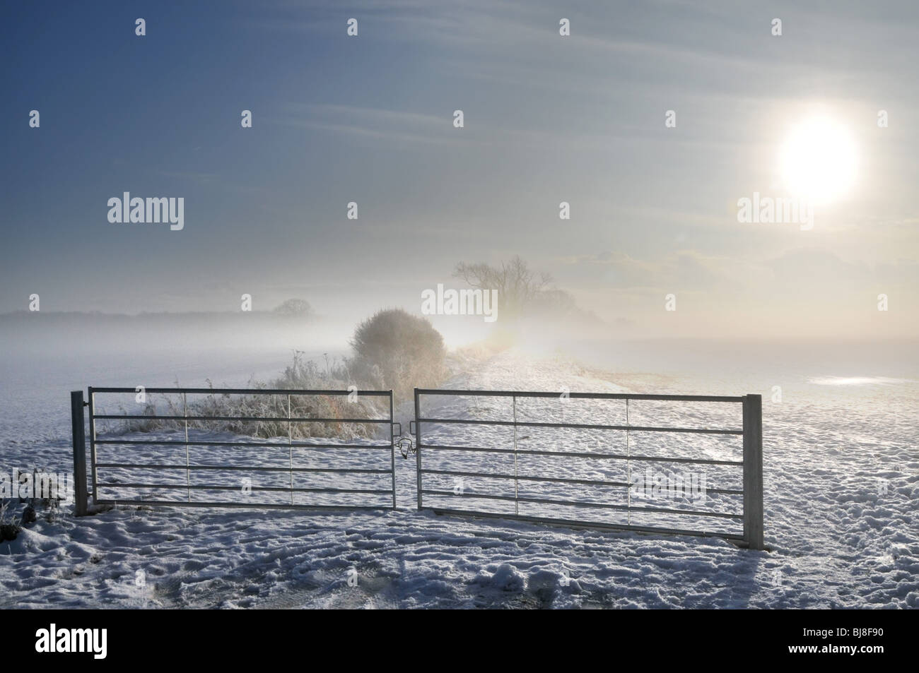 Sun shining through morning mist spreads sunshine over snow fields landscape and steel farmland access gates Essex England UK Stock Photo