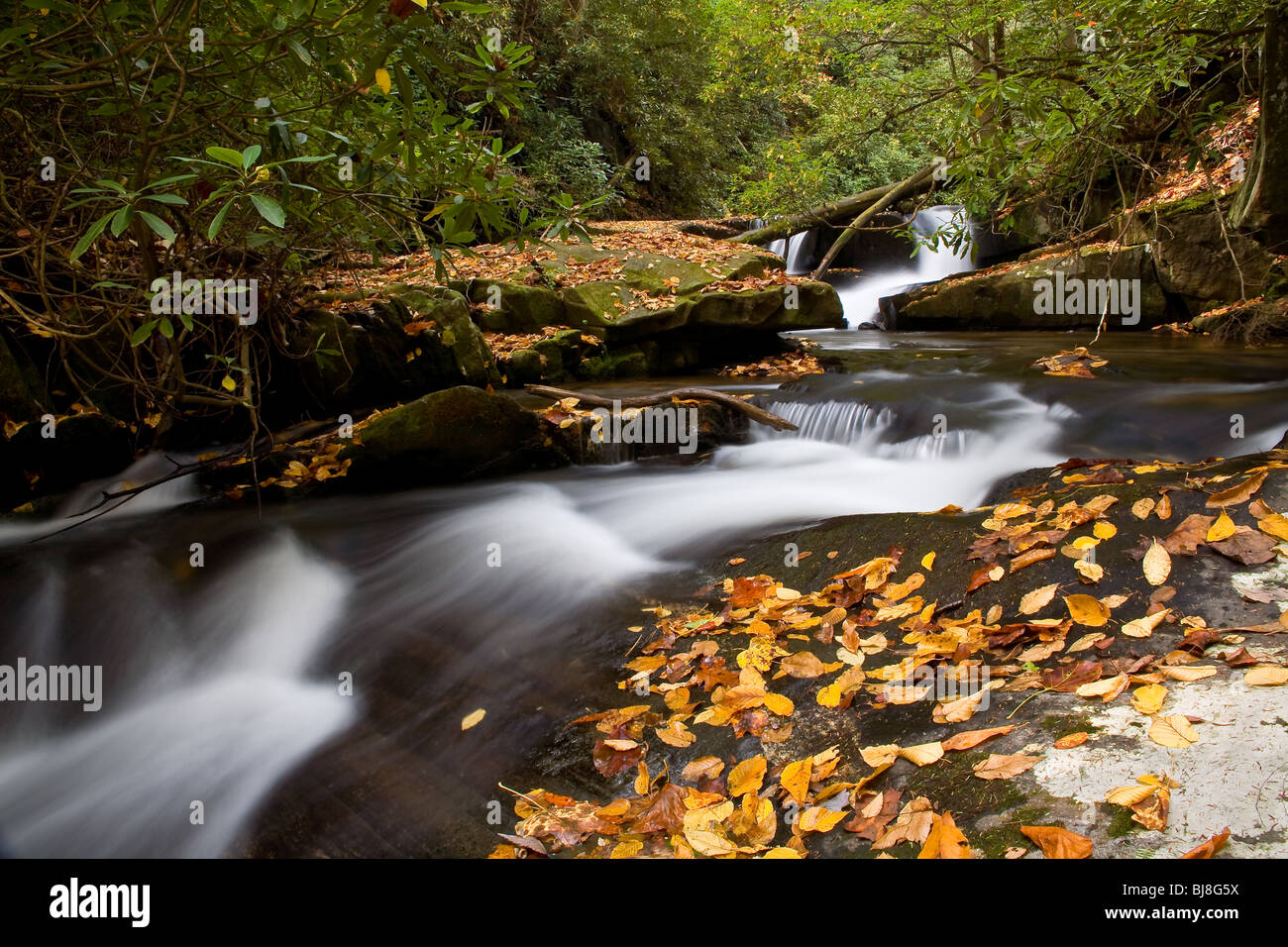 One of the various beautiful cascades on Wildcat Creek in northeastern Georgia. Stock Photo