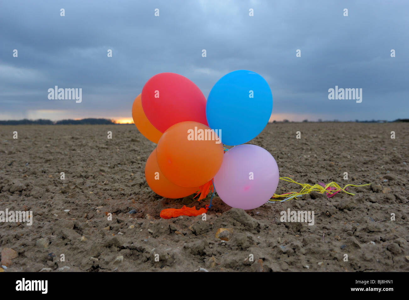 Group of party balloons stranded on farmland. Stock Photo