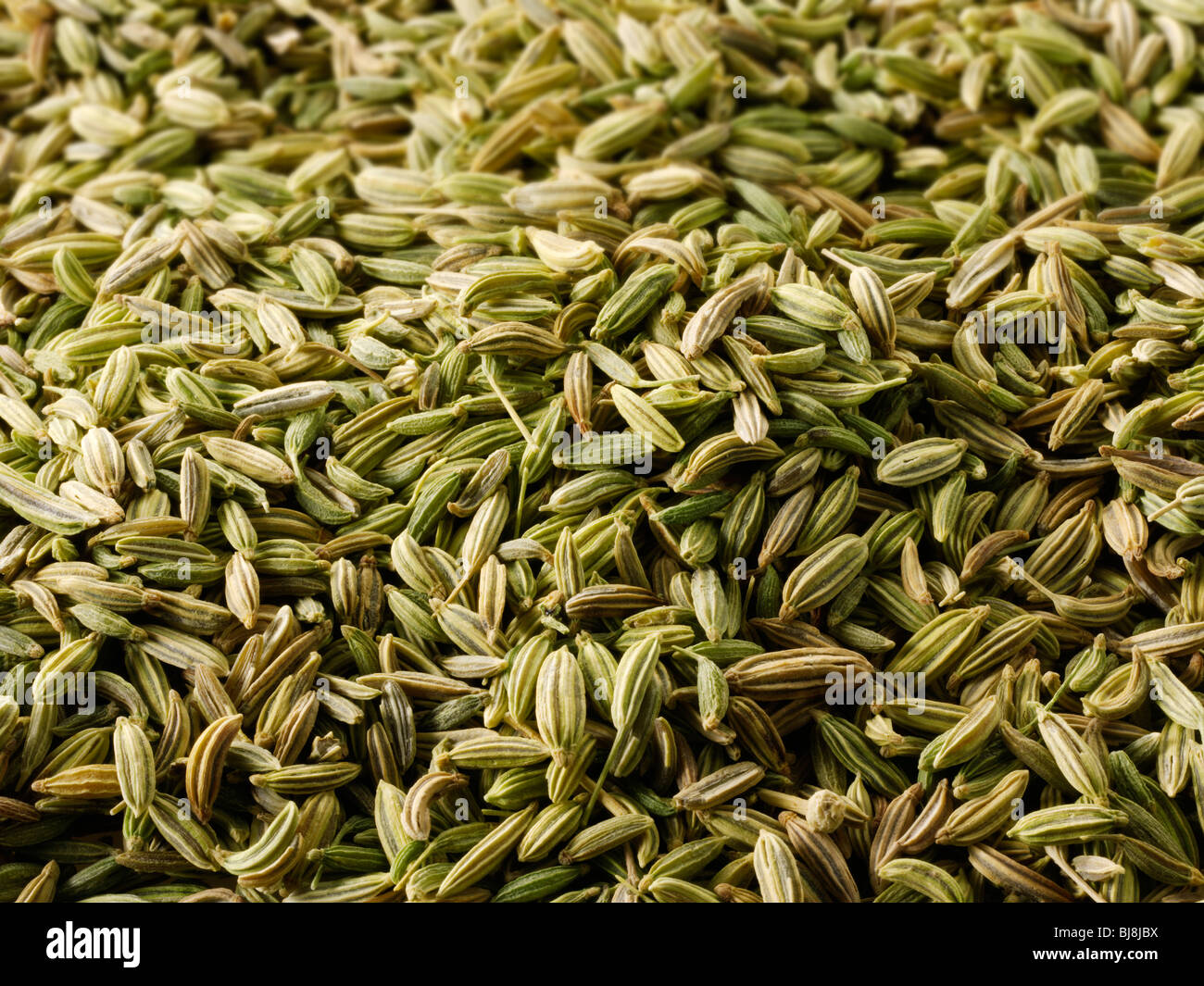 Whole fennel seeds , close up full frame Stock Photo
