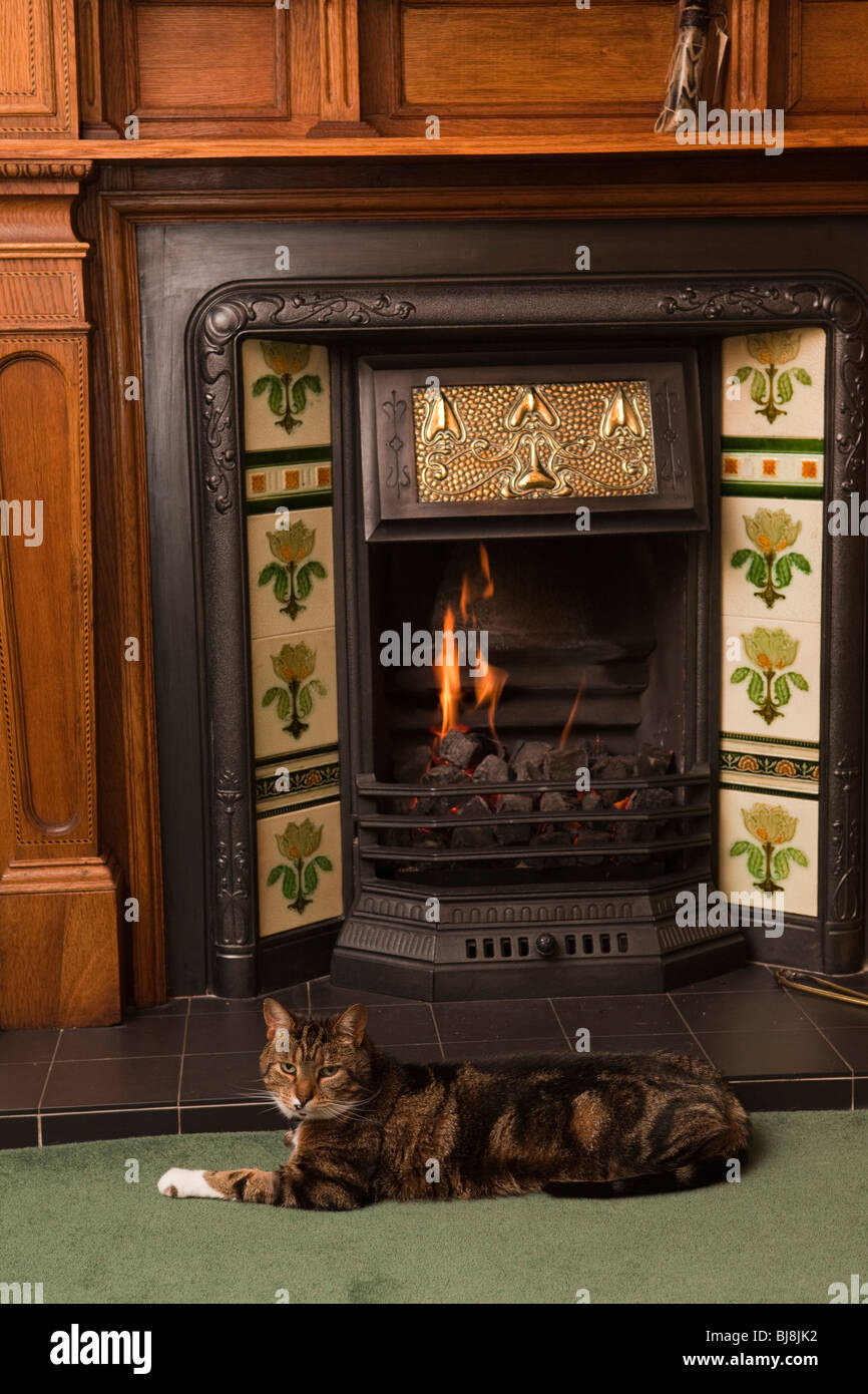 Domestic Interior, contented pet cat stretched out in front of fire in Arts and Crafts oak fireplace Stock Photo