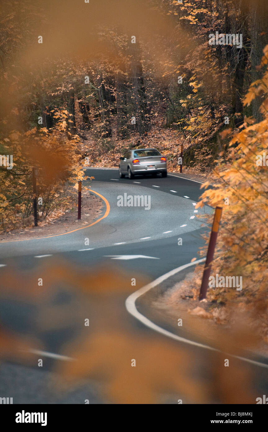 A car speeds on curves on a highway in Yosemite National Park. Stock Photo
