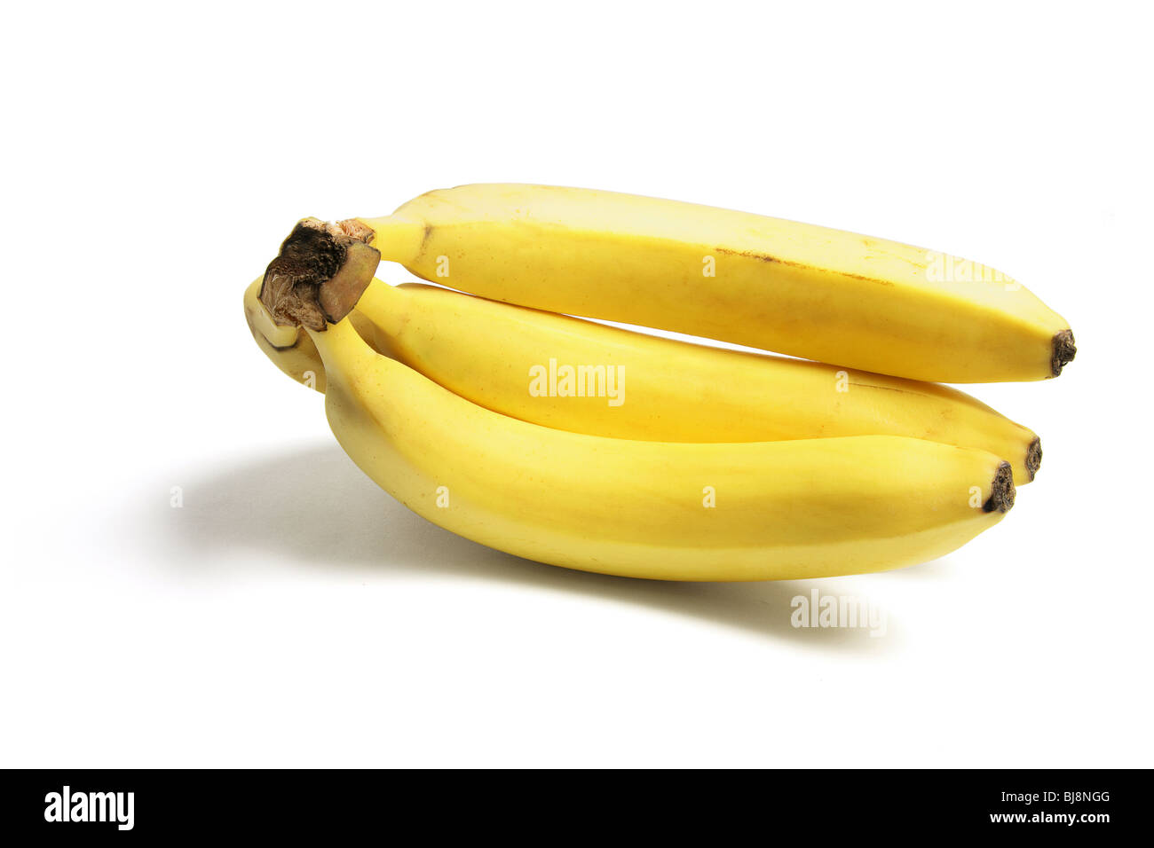 Bunch of bananas on the plant – License Images – 693890 ❘ StockFood