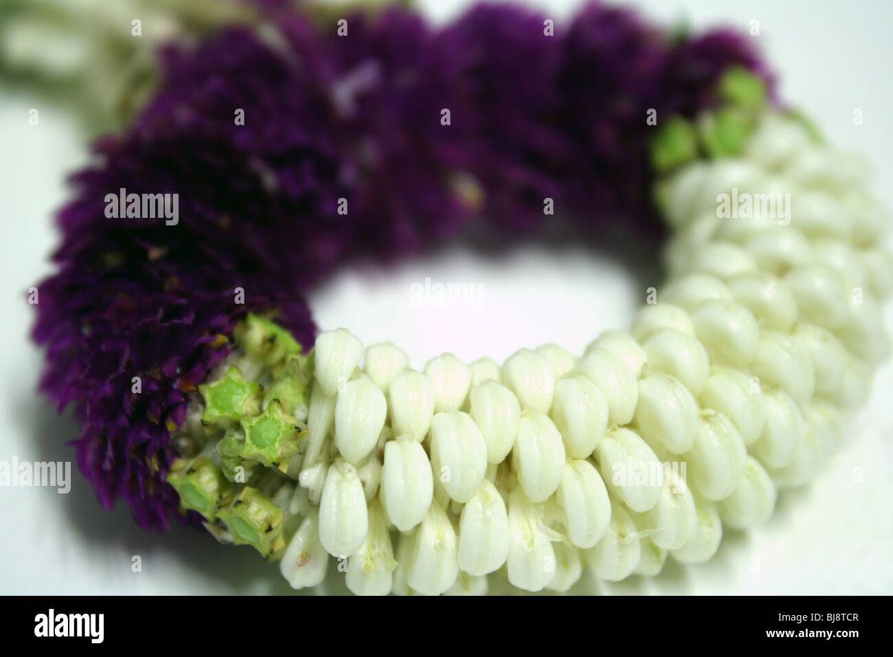 Thai Garland Flower Stock Photo Alamy