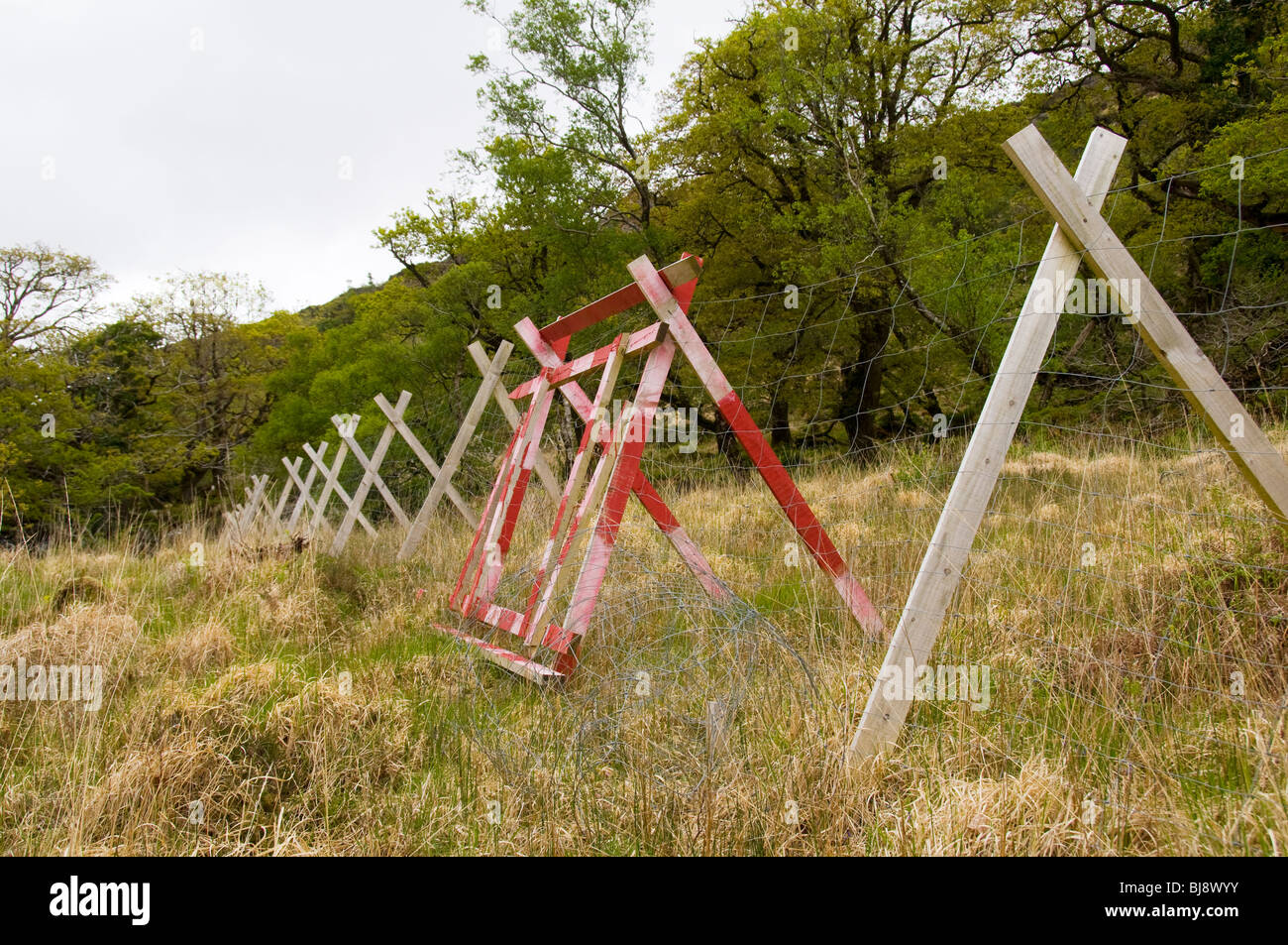 Deer fence and gate, County Kerry, Ireland Stock Photo