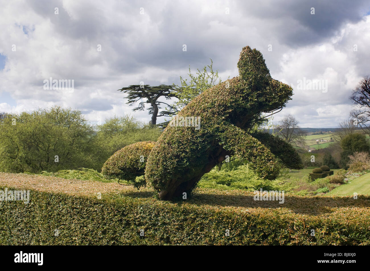Leaping rabbit hi-res stock photography and images - Alamy