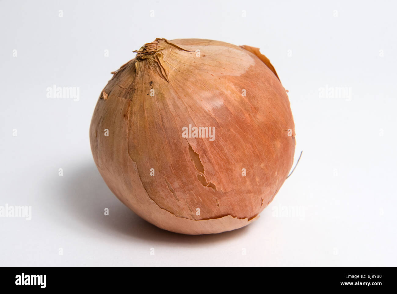 White backdrop cutout hi-res stock photography and images - Alamy