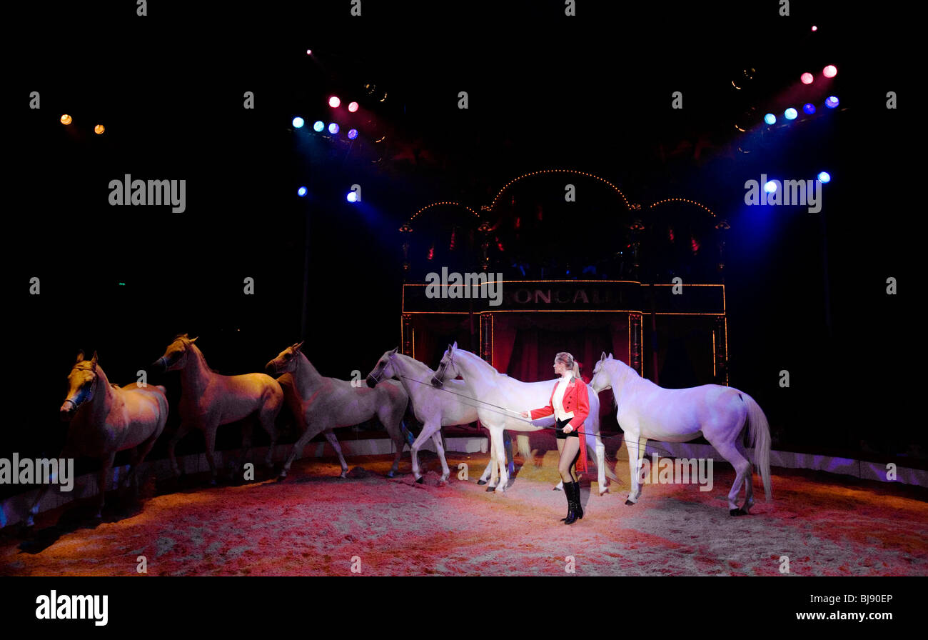 A horse trainer dressed in red, in middle of a show in the main ring. Circus Roncalli. Munich, Germany Stock Photo