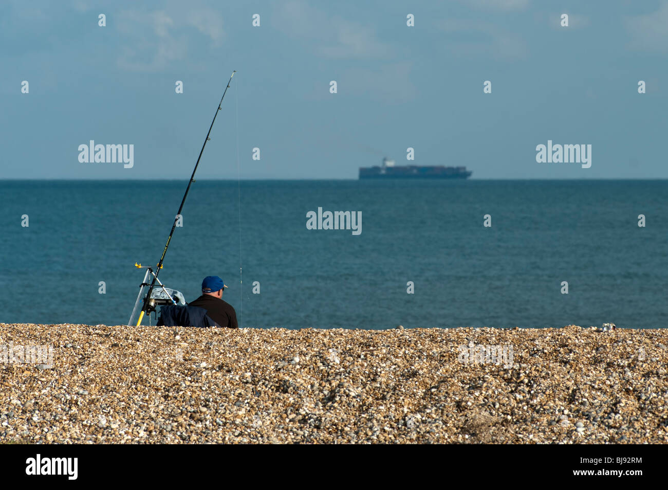 Fish english channel hi-res stock photography and images - Alamy