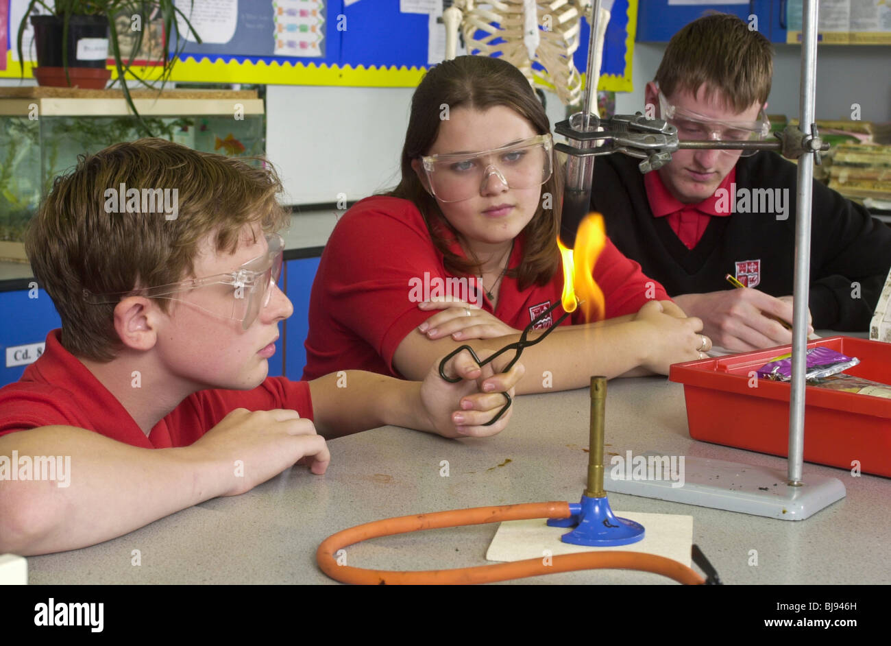 Year 10 pupils conduct a science experiment measuring energy in food in classroom of Welsh comprehensive school Wales UK Stock Photo