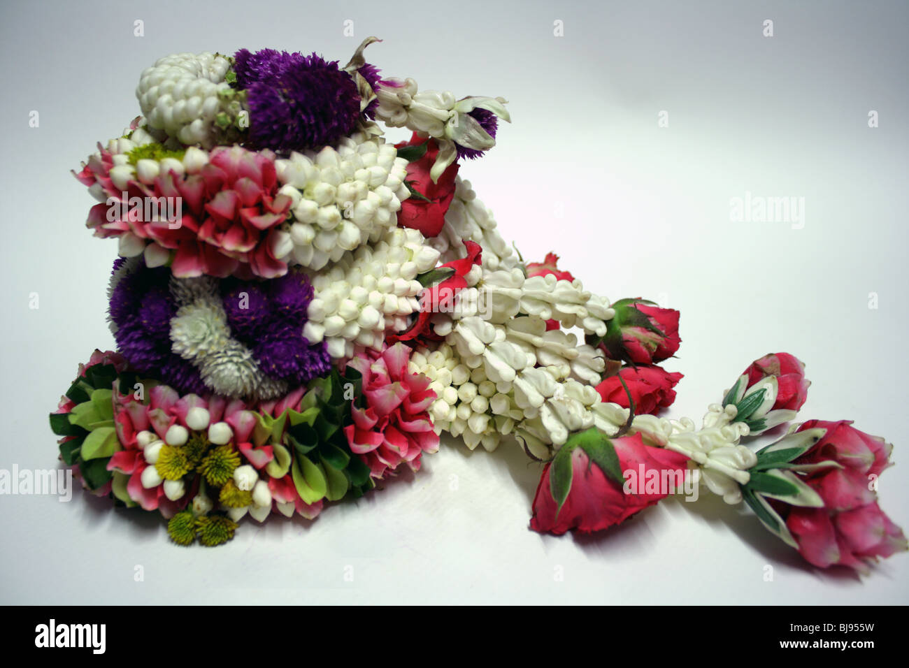 Thai rose flower hi-res stock photography and images - Alamy