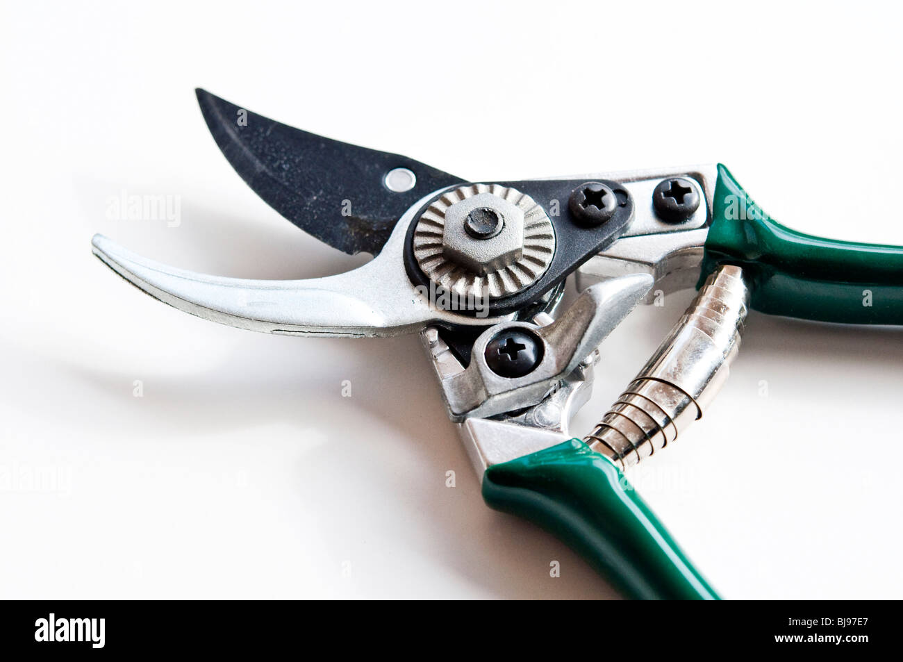Garden secateurs, used for pruning.  Close up view on a white background. Stock Photo