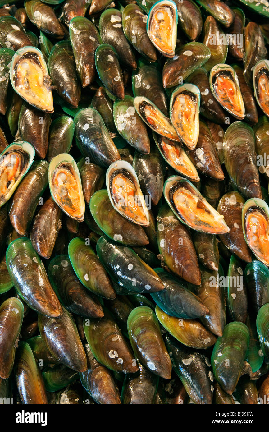Green lipped mussels on sale at fish market; Manila; Philippines Stock