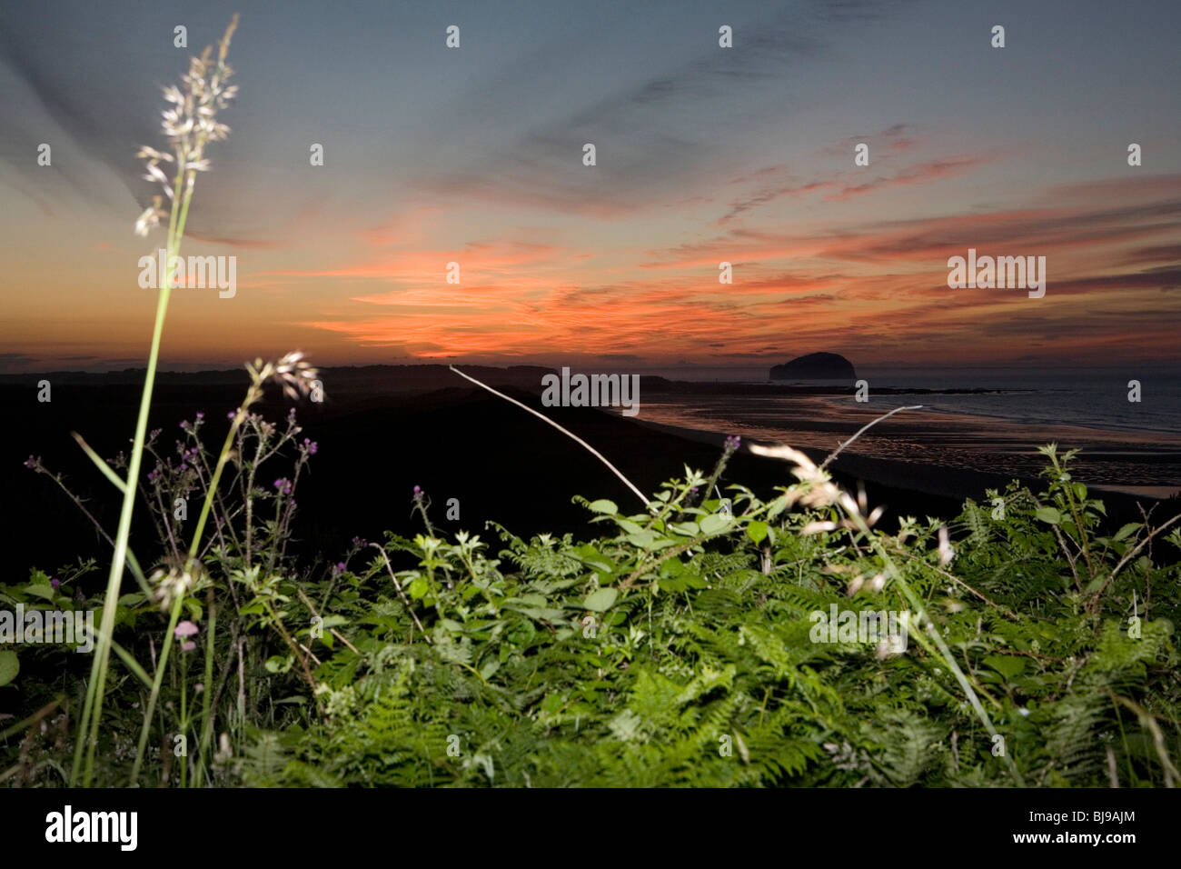 scottish coastline with lit up shrubs in the foreground Stock Photo