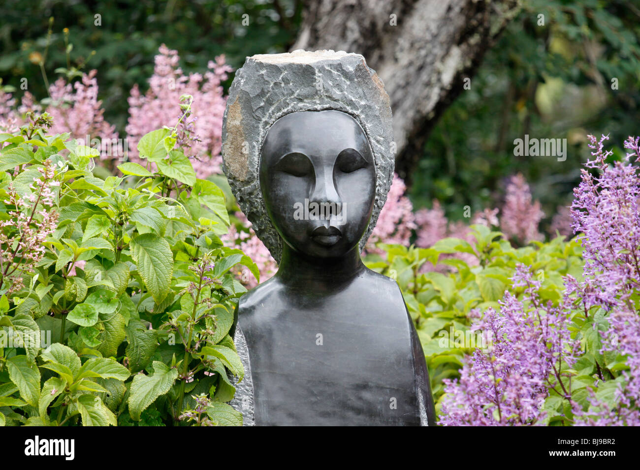 Kirstenbosch botanical garden sculpture hires stock photography and