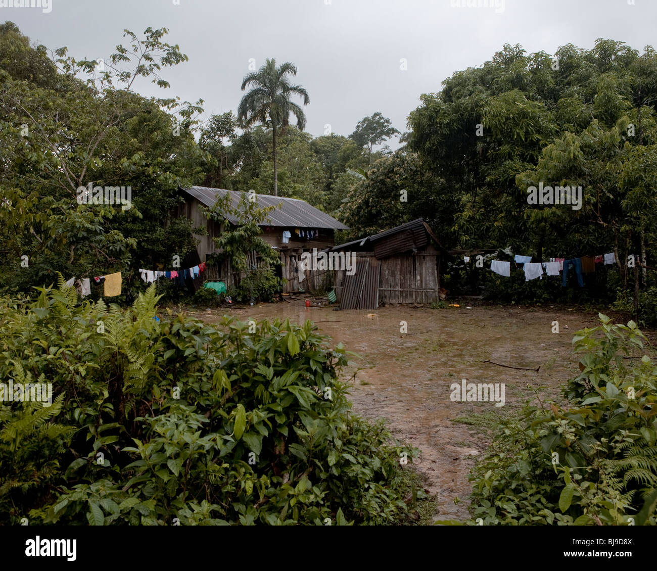 Chapare bolivia hires stock photography and images Alamy