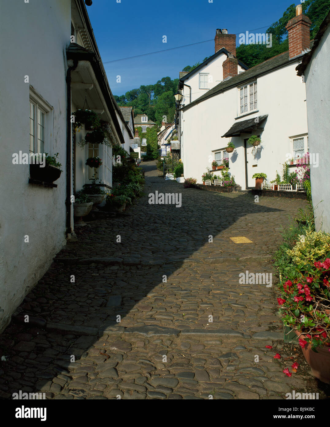 Houses at Clovelly, North Devon, U.K Stock Photo Alamy