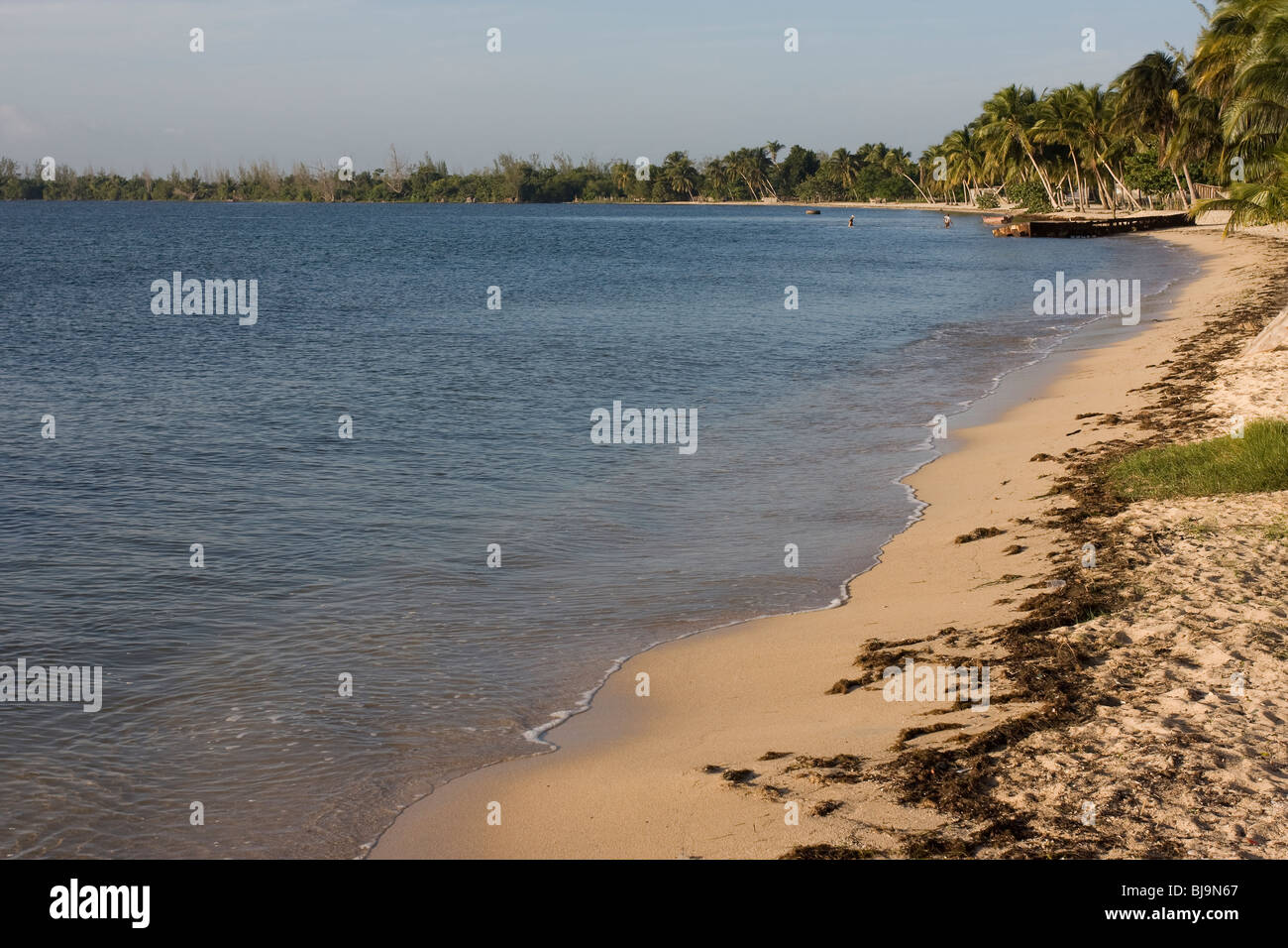 BAY OF PIGS - sight of American backed invasion of Cuba in 1961. Playa larga, Zapata swamp, Cuba Stock Photo