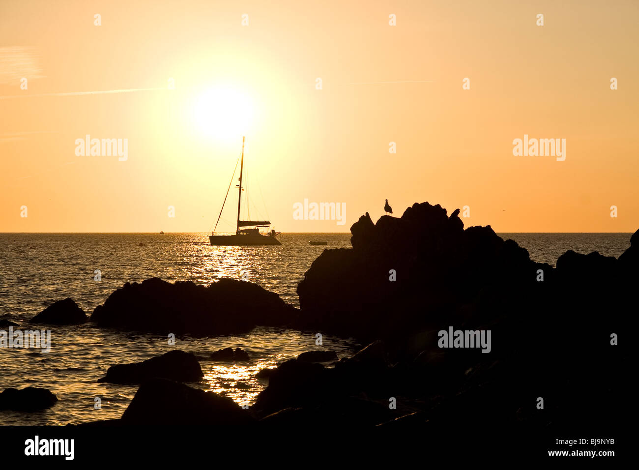 Atlantic Beach Cornwall England Silhouette Dawn Stock Photo - Alamy