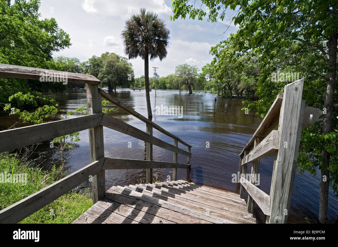 flooding of North Florida rivers after heavy spring rain 409 Suwannee