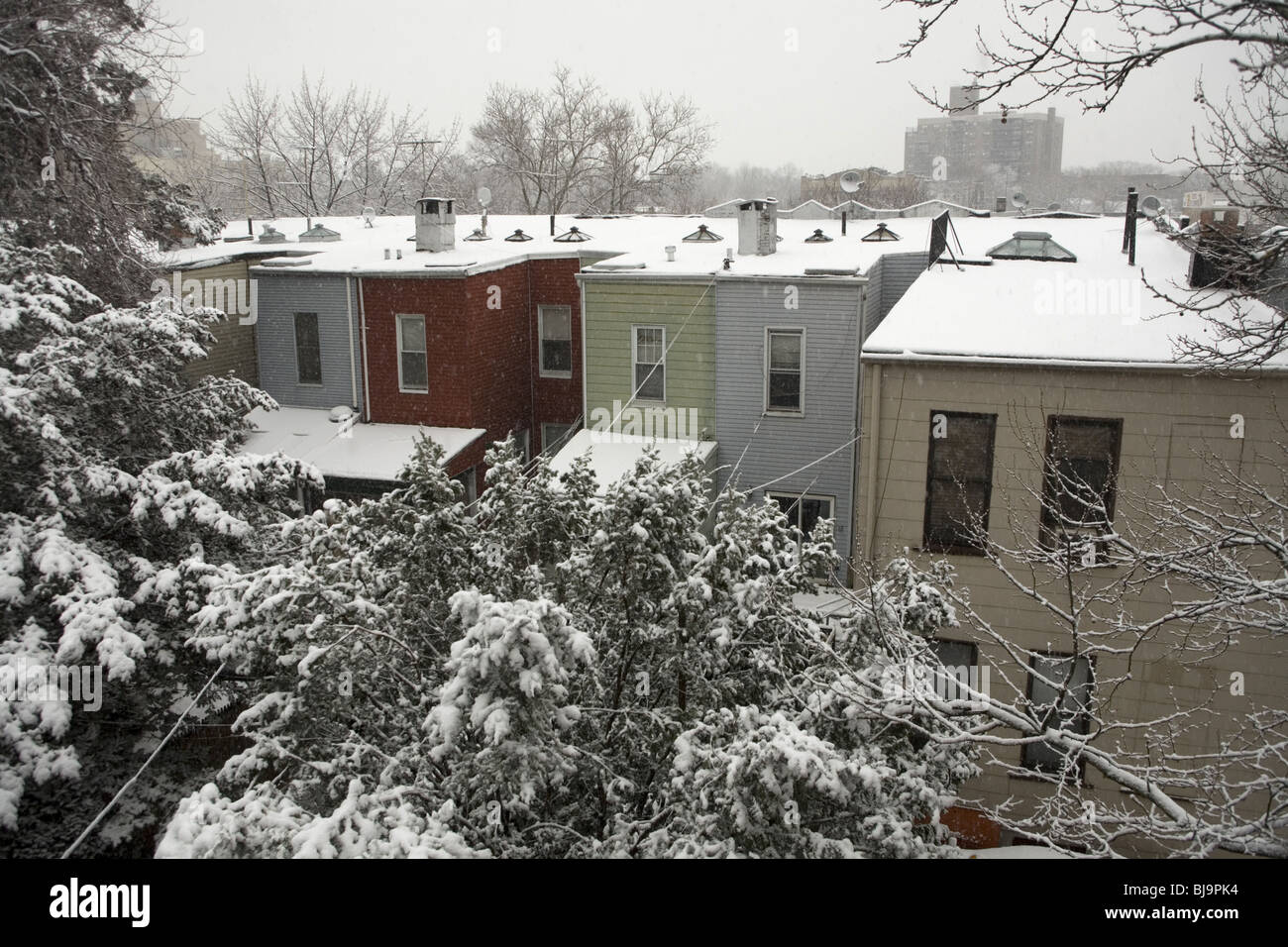 Brooklyn backyards during snowstorm in a working class neighborhood Stock Photo