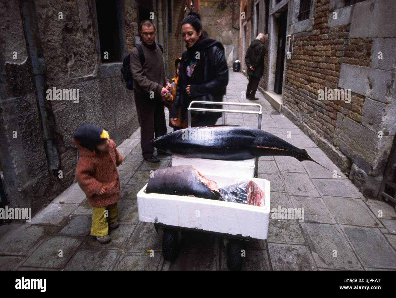 Venice, March 2008 Fresh fish Stock Photo Alamy