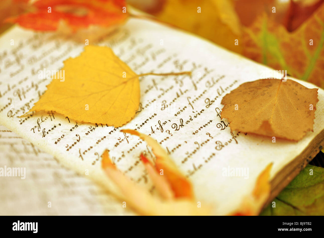Autumn leaves scattered on an old diary Stock Photo