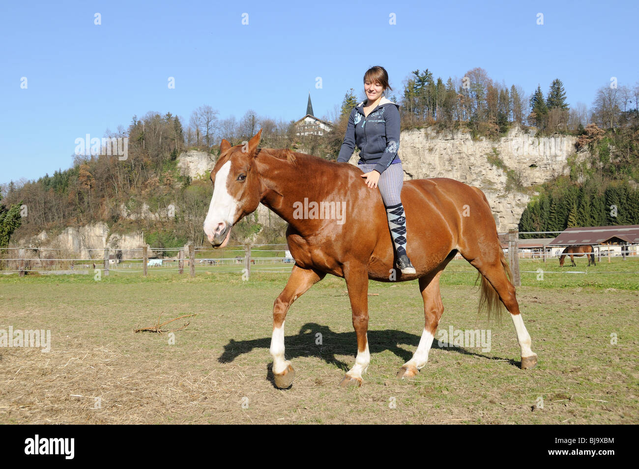 horsebackriding girl on meadow without saddle and without bridle Stock Photo