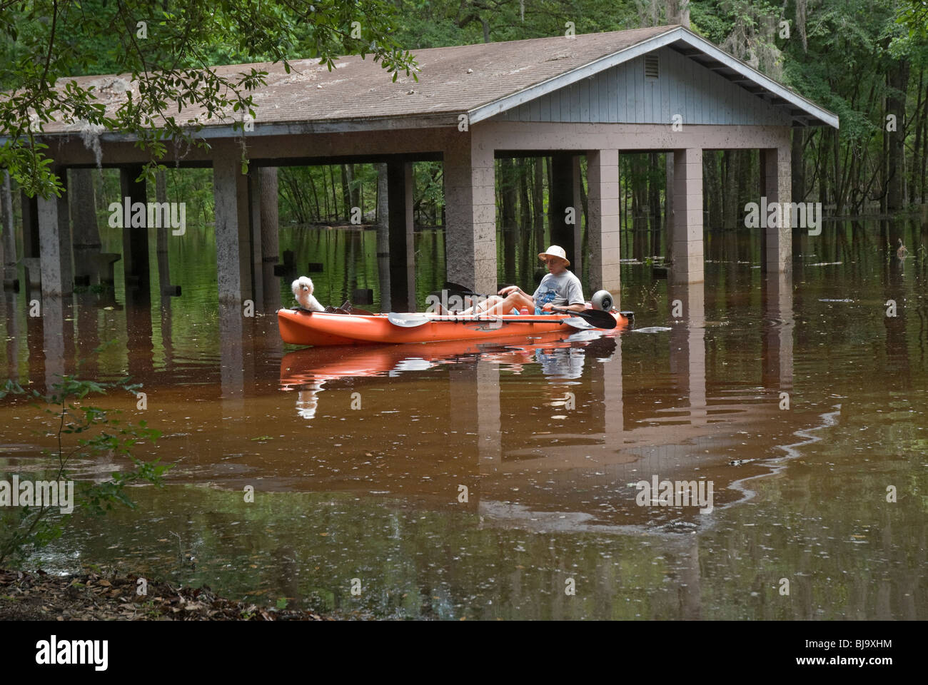 kayaker paddles through flooded picnic pavilion along Florida's Santa Fe River a tributary of the Suwannee River North Florida Stock Photo