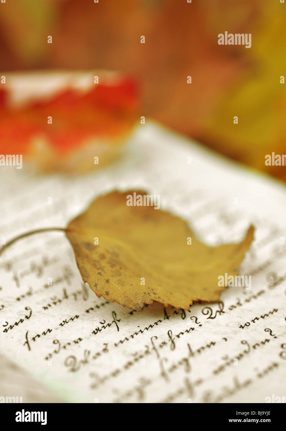 Autumn leaves scattered on an old diary Stock Photo