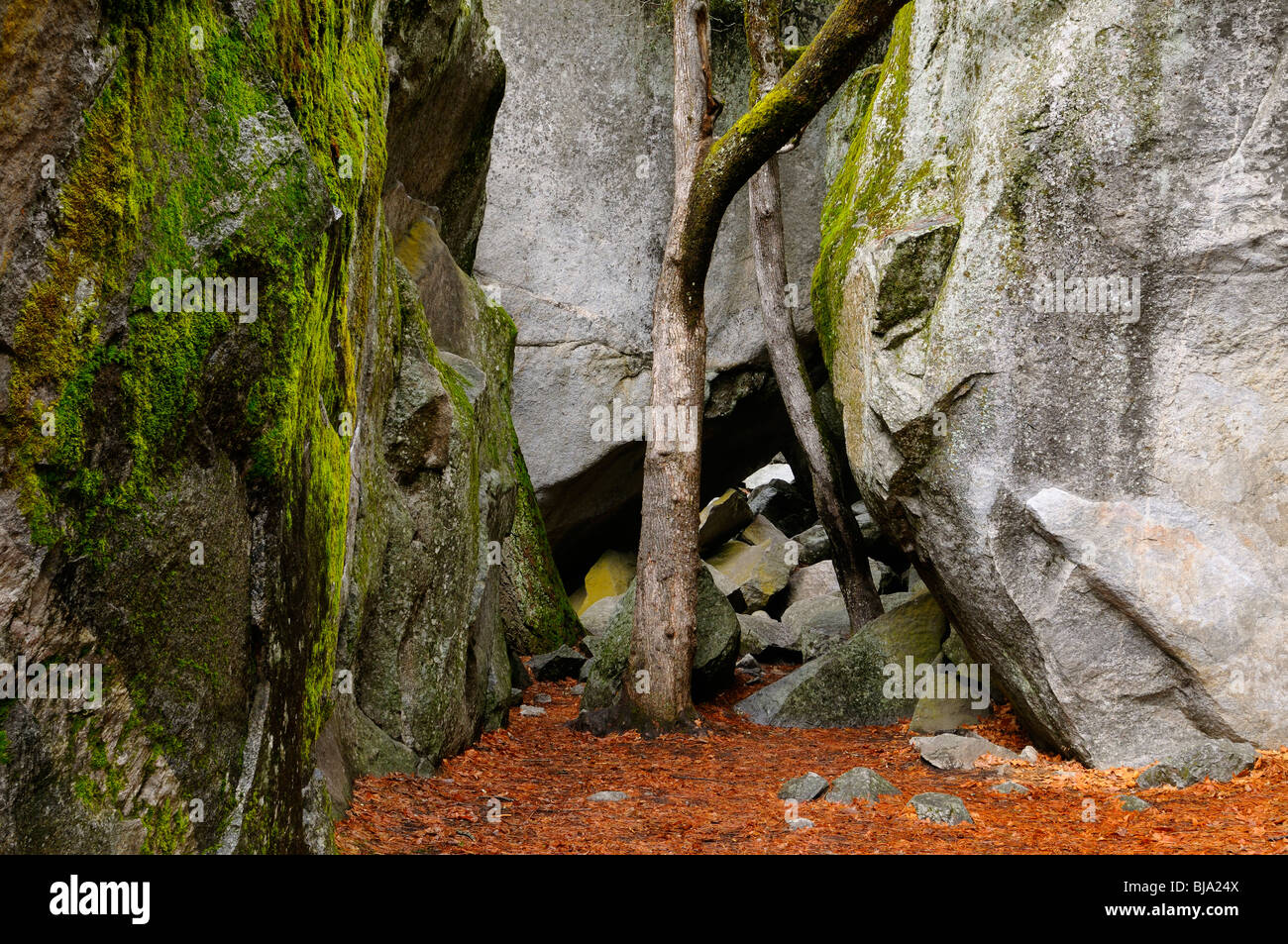 Between a rock and a hard place hi-res stock photography and images - Alamy
