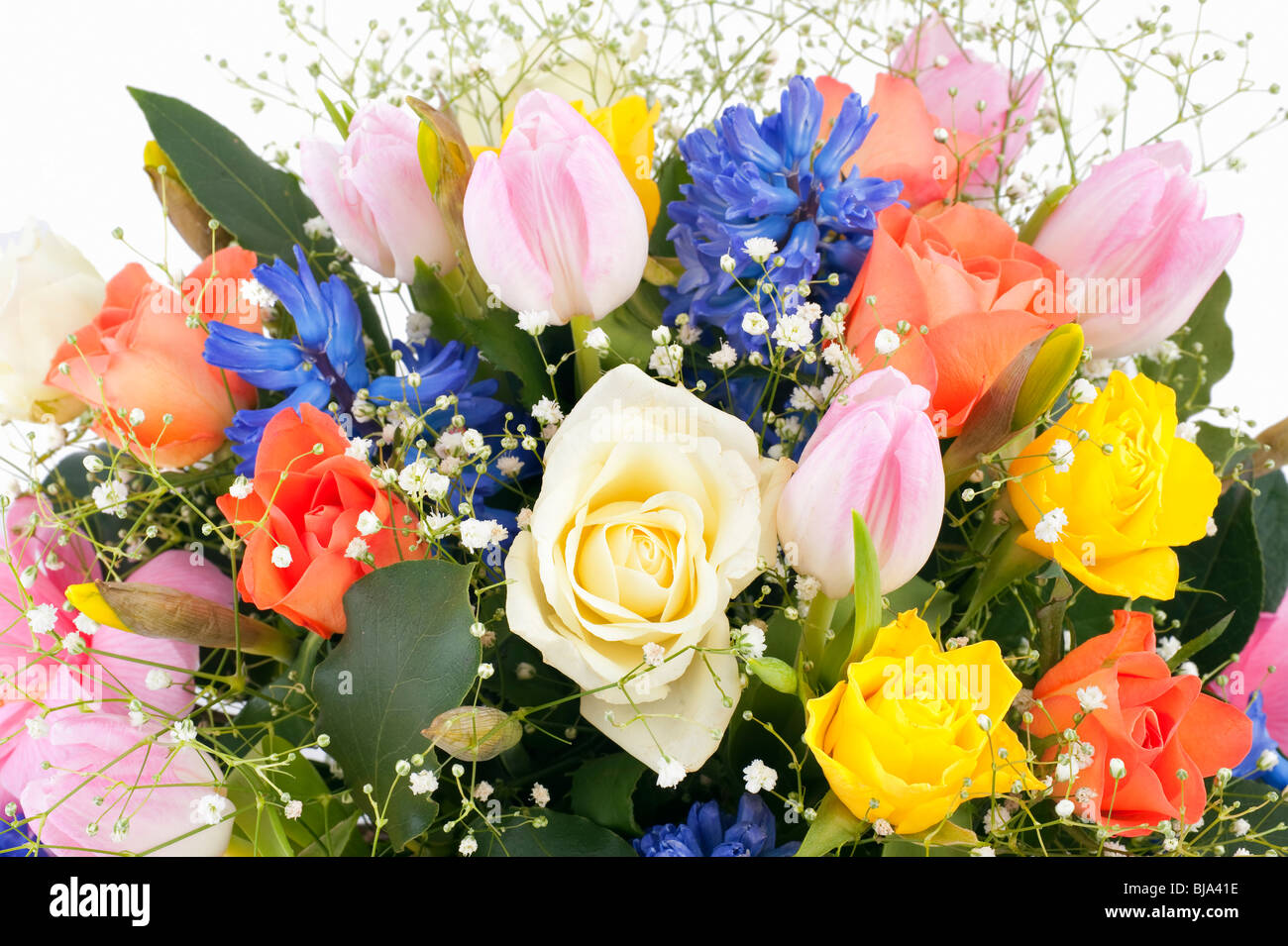 Spring flower arrangement in vase with roses, tulips hyacinth, daffodil and green leaves Stock Photo