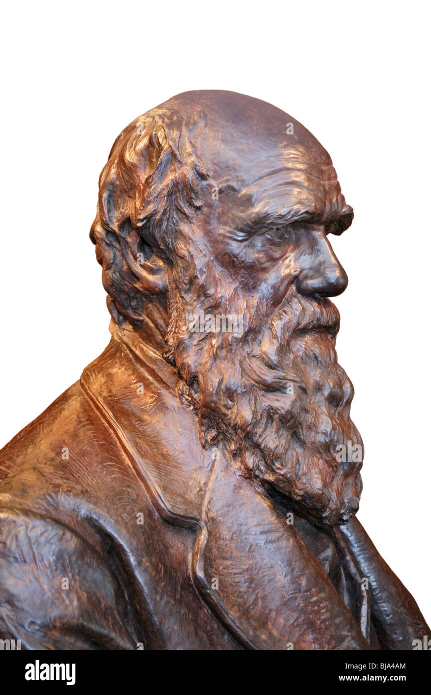 Charles Darwin, bust, New York Academy of Sciences Stock Photo