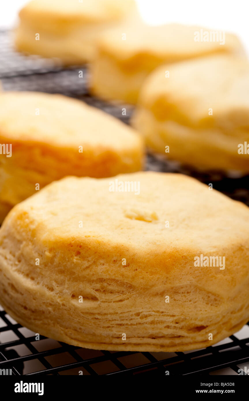 Vertical shallow focus close up of fresh baked biscuits Stock Photo