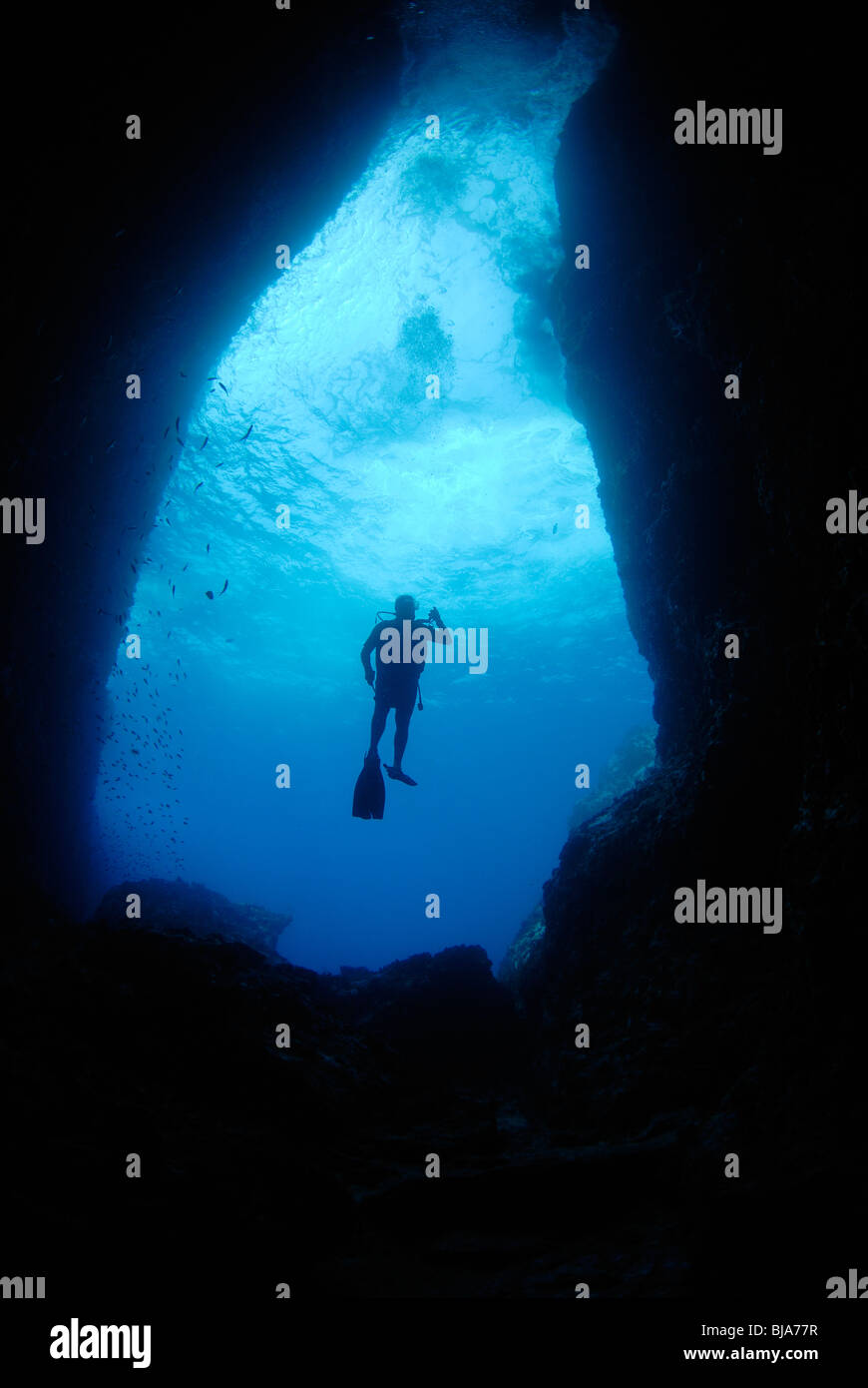 Scuba diver silhouette hi-res stock photography and images - Alamy