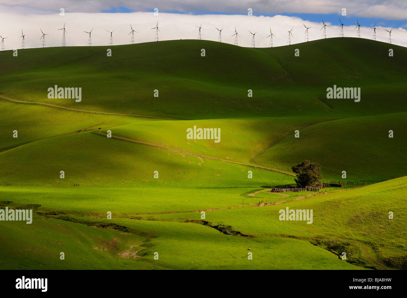 Dappled winter sun on the rolling green grass hills of the Altamont Pass hilltop wind farm green electric power generation in California USA Stock Photo