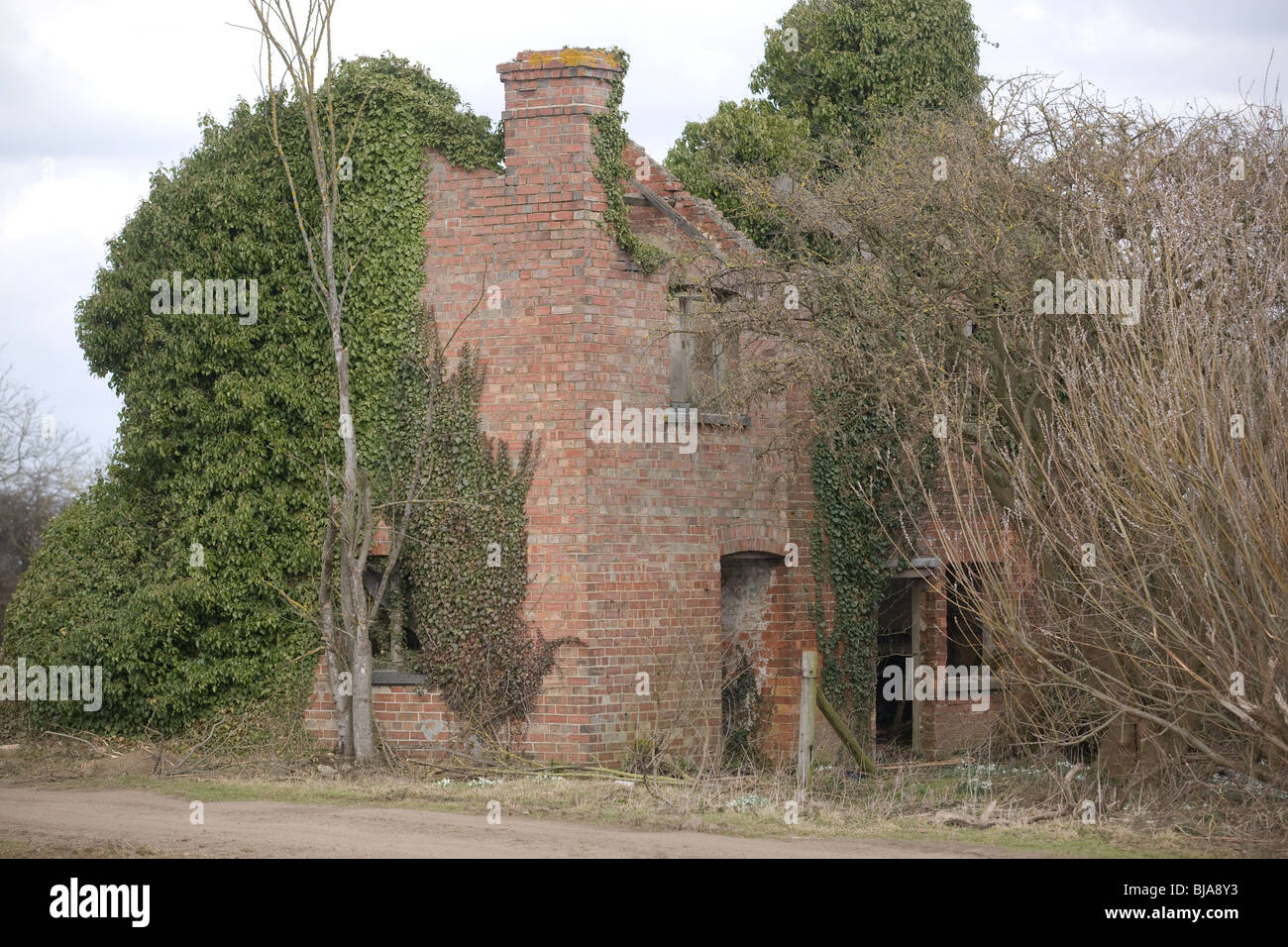 Disused and abandoned farm cottage Stock Photo