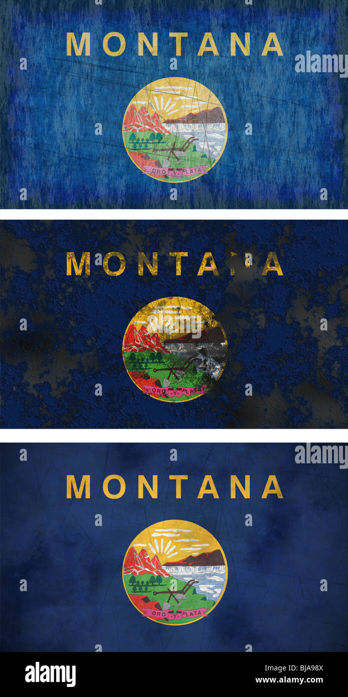 Great Image of the Flag of Montana Stock Photo Alamy
